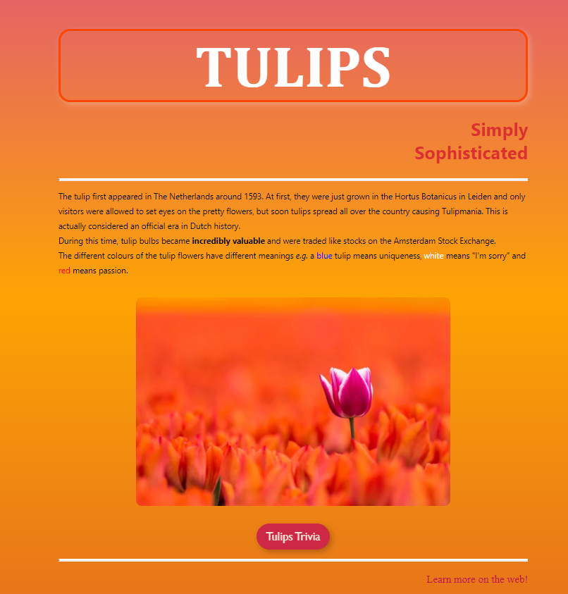 Tulip image